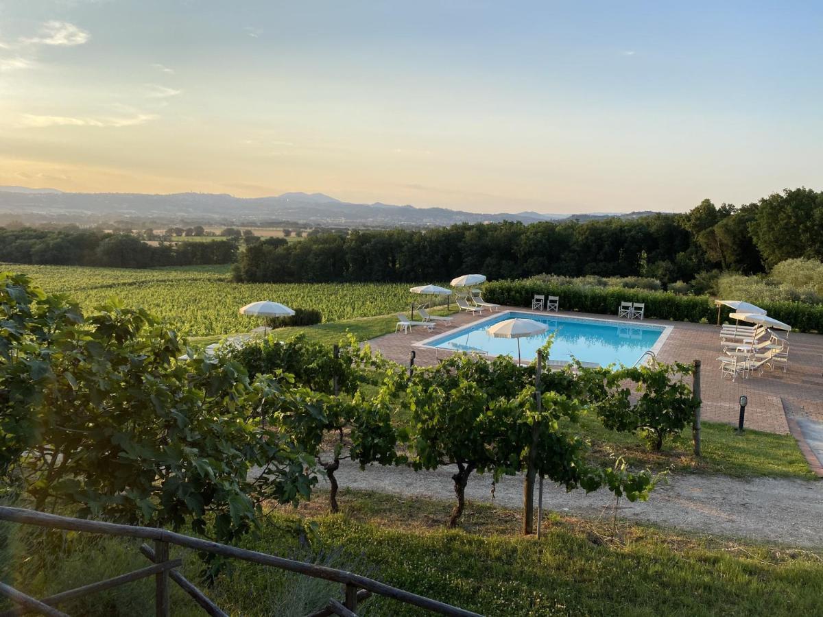 Poggio Alle Vigne Torgiano Eksteriør billede