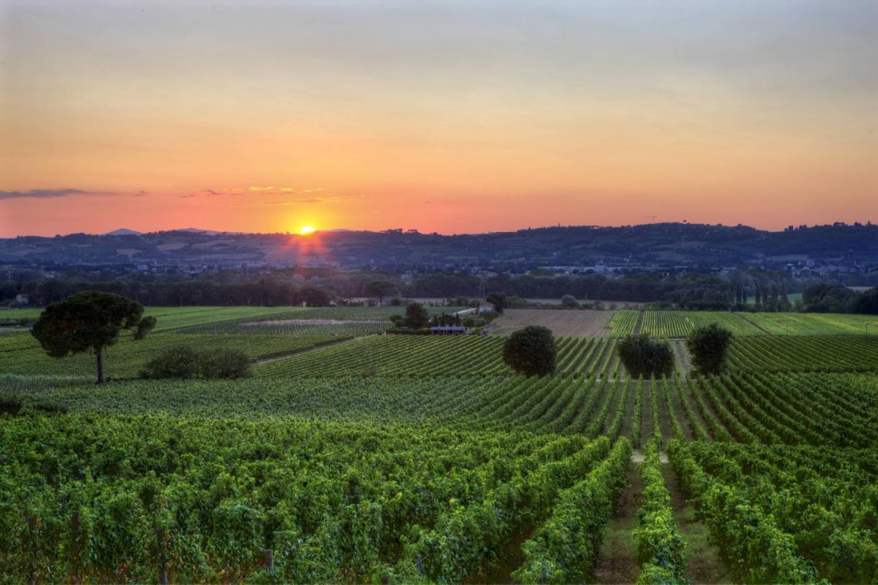 Poggio Alle Vigne Torgiano Eksteriør billede
