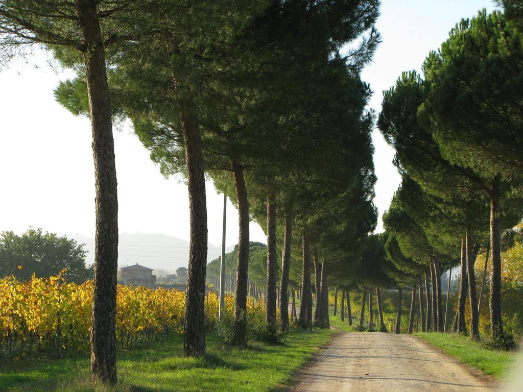 Poggio Alle Vigne Torgiano Eksteriør billede
