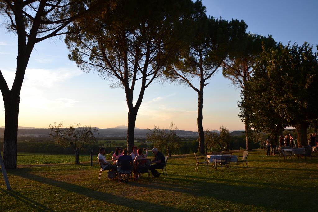 Poggio Alle Vigne Torgiano Eksteriør billede