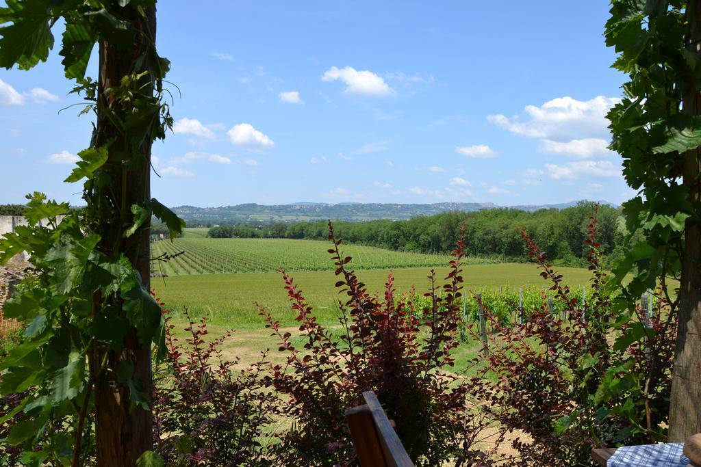 Poggio Alle Vigne Torgiano Eksteriør billede